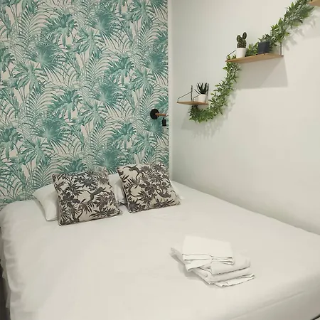 Jungle Appt 2p Cosy Calme Fac شقة