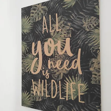 شقة Jungle Appt 2p Cosy Calme Fac